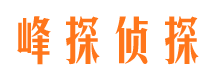 回民市调查公司